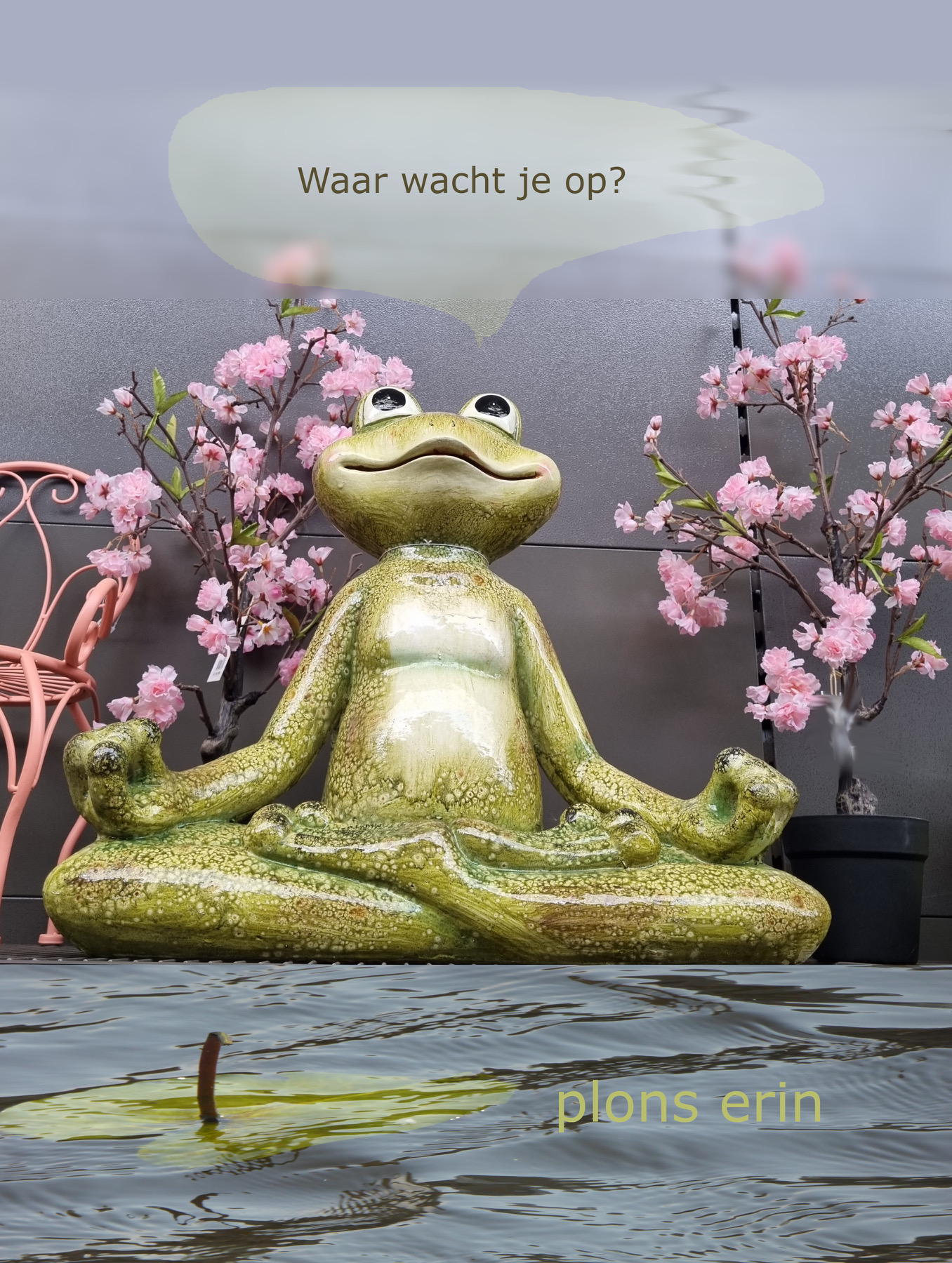 Zen.nl, Zen, meditatie, leren mediteren, foto